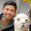 Chris Sevilleja, Community Manager